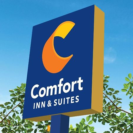 Comfort Inn & Suites Χιούστον Εξωτερικό φωτογραφία