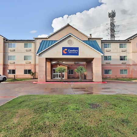 Comfort Inn & Suites Westfield Εξωτερικό φωτογραφία