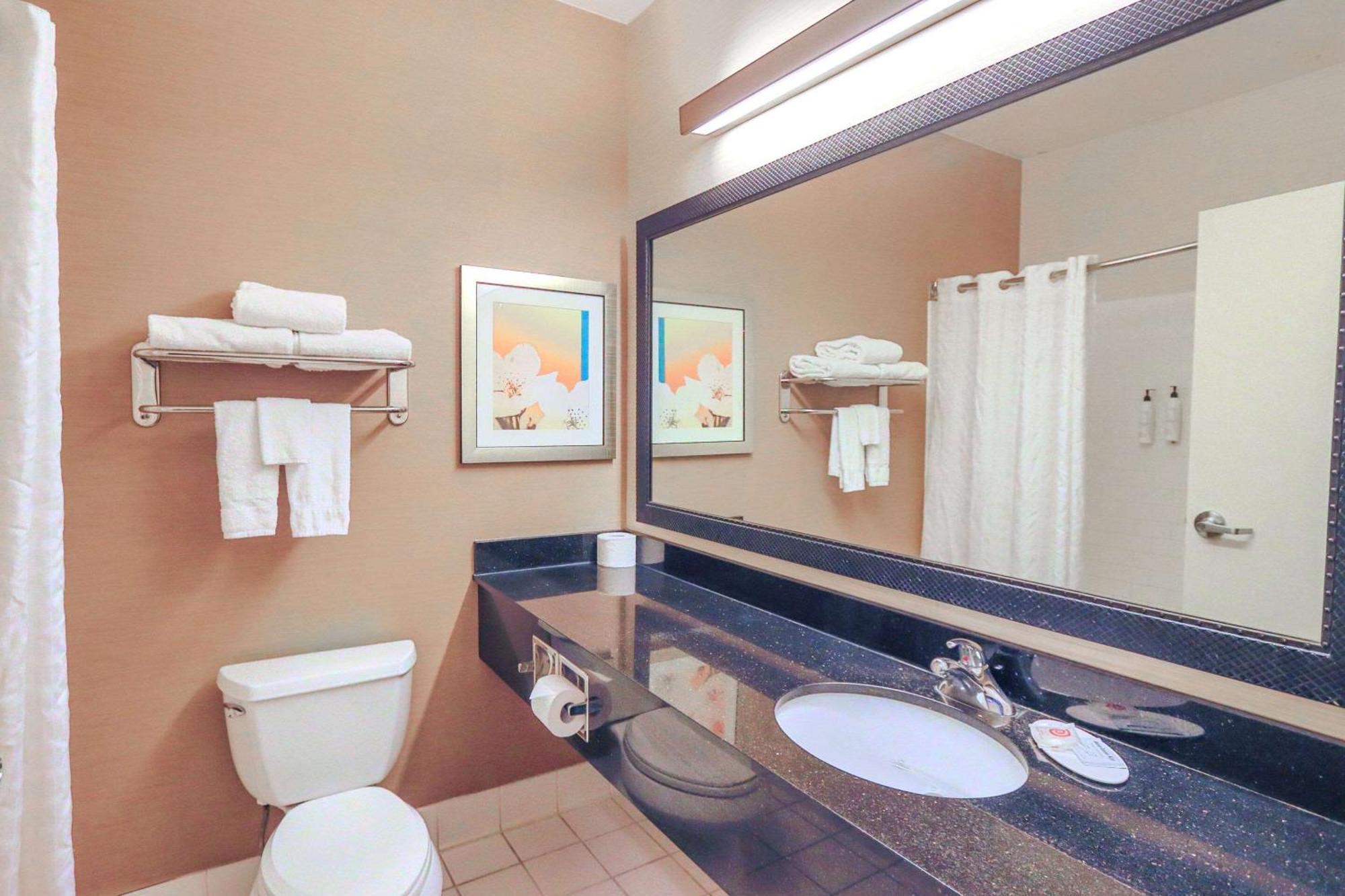 Comfort Inn & Suites Westfield Εξωτερικό φωτογραφία